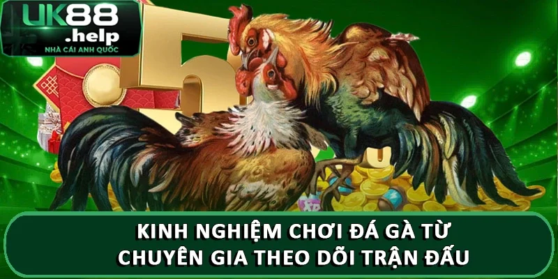 Tổng hợp kinh nghiệm chơi đá gà từ chuyên gia UK88 3 Kinh nghiệm chơi đá gà từ chuyên gia theo dõi trận đấu